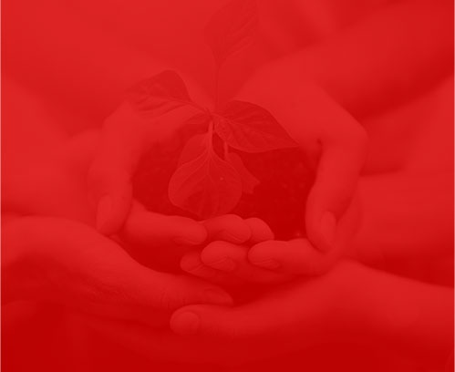 香港正版全年资料大全