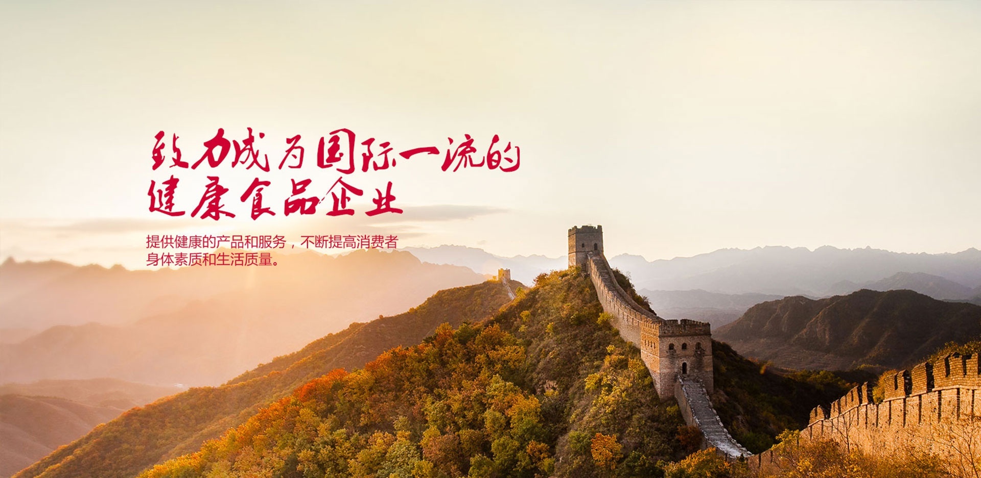 香港正版全年资料大全